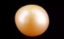 South Sea Pearl - 5.86 Carat Prime Quality SSP-8824
