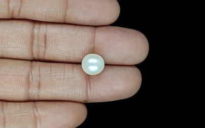 South Sea Pearl - 5.90 Carat Prime Quality SSP-8870
