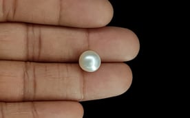 South Sea Pearl - 5.92 Carat Prime Quality SSP-8671