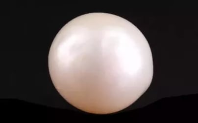 South Sea Pearl - 6.04 Carat Prime Quality SSP-8827