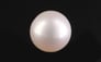 South Sea Pearl - 6.04 Carat Prime Quality SSP-8874