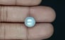 South Sea Pearl - 6.25 Carat Prime Quality SSP-8830