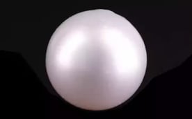 South Sea Pearl - 6.25 Carat Prime Quality SSP-8830