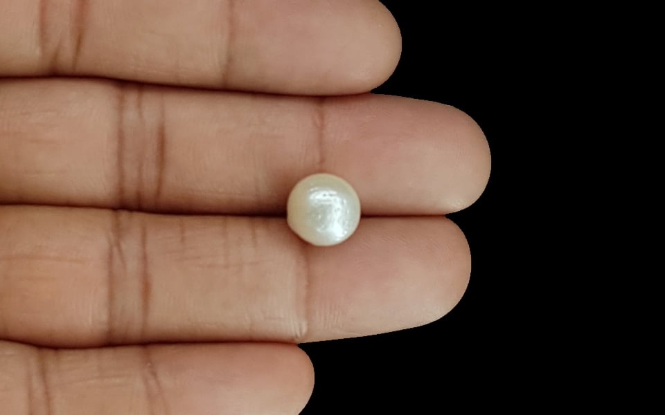 South Sea Pearl - 6.33 Carat Prime Quality SSP-8669