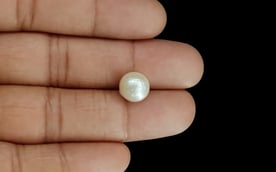 South Sea Pearl - 6.33 Carat Prime Quality SSP-8669