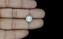 South Sea Pearl - 6.35 Carat Prime Quality SSP-8833