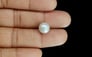 South Sea Pearl - 6.38 Carat Prime Quality SSP-8662