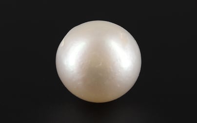 South Sea Pearl - 6.38 Carat Prime Quality SSP-8662