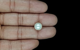 South Sea Pearl - 6.41 Carat Prime Quality SSP-8879