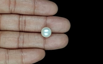 South Sea Pearl - 6.47 Carat Prime Quality SSP-8873