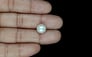 South Sea Pearl - 6.47 Carat Prime Quality SSP-8873
