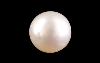 South Sea Pearl - 6.47 Carat Prime Quality SSP-8873