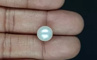 South Sea Pearl - 6.60 Carat Prime Quality SSP-8882