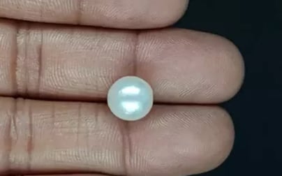 South Sea Pearl - 6.60 Carat Prime Quality SSP-8882