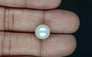 South Sea Pearl - 6.60 Carat Prime Quality SSP-8882
