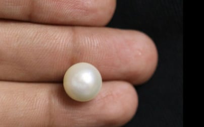 South Sea Pearl - 6.71 Carat Fine Quality SSP-8592