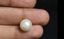 South Sea Pearl - 6.71 Carat Fine Quality SSP-8592