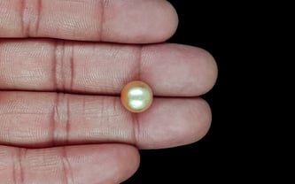 South Sea Pearl - 6.75 Carat Prime Quality SSP-8885