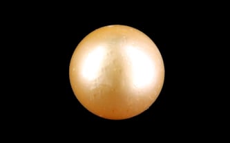 South Sea Pearl - 6.75 Carat Prime Quality SSP-8885