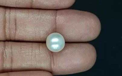 South Sea Pearl - 6.81 Carat Prime Quality SSP-8846
