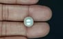 South Sea Pearl - 6.81 Carat Prime Quality SSP-8846