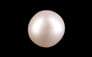 South Sea Pearl - 6.81 Carat Prime Quality SSP-8846
