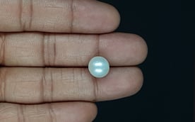 South Sea Pearl - 6.82 Carat Prime Quality SSP-8821