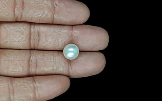 South Sea Pearl - 6.97 Carat Prime Quality SSP-8847