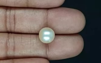 South Sea Pearl - 7.13 Carat Prime Quality SSP-8859