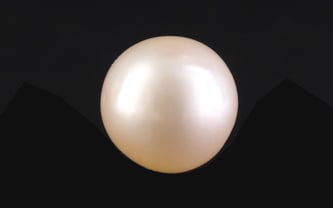 South Sea Pearl - 7.13 Carat Prime Quality SSP-8859