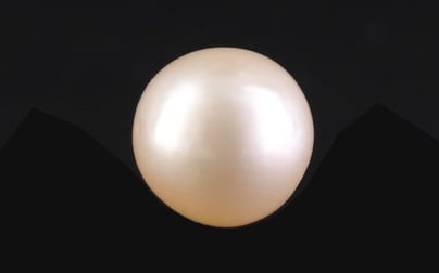 South Sea Pearl - 7.13 Carat Prime Quality SSP-8859