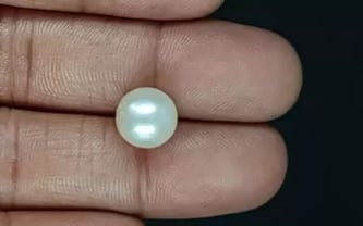 South Sea Pearl - 7.19 Carat Prime Quality SSP-8864