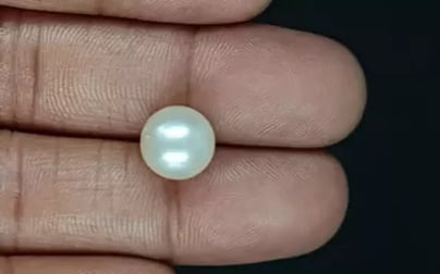 South Sea Pearl - 7.19 Carat Prime Quality SSP-8864