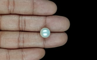 South Sea Pearl - 7.22 Carat Prime Quality SSP-8865