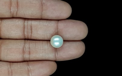 South Sea Pearl - 7.22 Carat Prime Quality SSP-8865