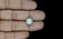 South Sea Pearl - 7.22 Carat Prime Quality SSP-8865