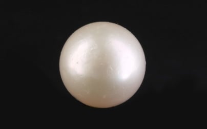 South Sea Pearl - 7.22 Carat Prime Quality SSP-8865