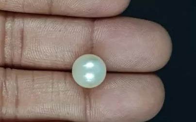 South Sea Pearl - 7.25 Carat Prime Quality SSP-8841