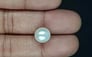 South Sea Pearl - 7.41 Carat Prime Quality SSP-8860