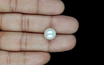 South Sea Pearl - 7.57 Carat Prime Quality SSP-8858