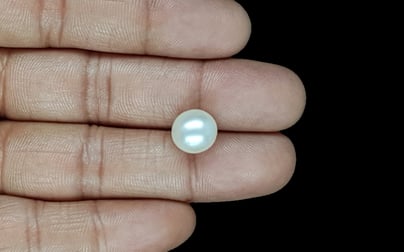 South Sea Pearl - 7.57 Carat Prime Quality SSP-8858
