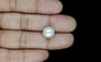 South Sea Pearl - 7.57 Carat Prime Quality SSP-8858