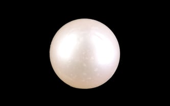 South Sea Pearl - 7.57 Carat Prime Quality SSP-8858