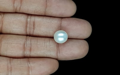 South Sea Pearl - 7.68 Carat Prime Quality SSP-8848