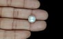 South Sea Pearl - 7.68 Carat Prime Quality SSP-8848