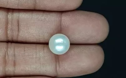 South Sea Pearl - 7.75 Carat Prime Quality SSP-8844