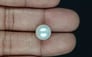 South Sea Pearl - 7.75 Carat Prime Quality SSP-8844
