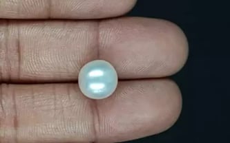 South Sea Pearl - 7.88 Carat Prime Quality SSP-8871