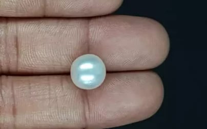 South Sea Pearl - 7.88 Carat Prime Quality SSP-8871