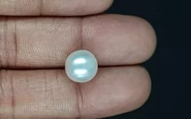 South Sea Pearl - 7.88 Carat Prime Quality SSP-8871